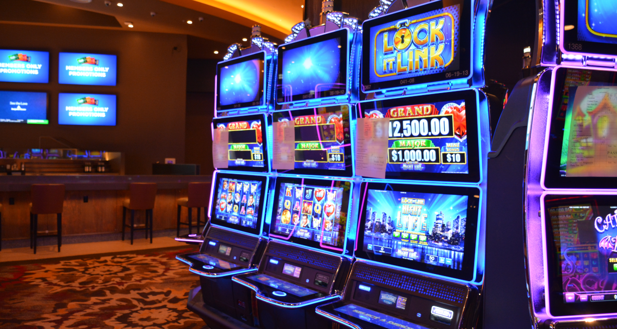 DUIT66: A Complete Guide to Features, Benefits