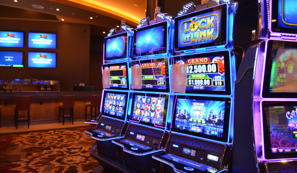 DUIT66: A Complete Guide to Features, Benefits