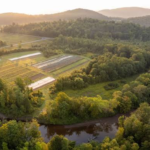juniper farm