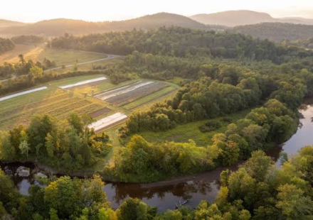 juniper farm