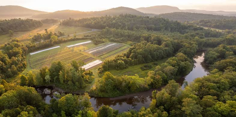 juniper farm